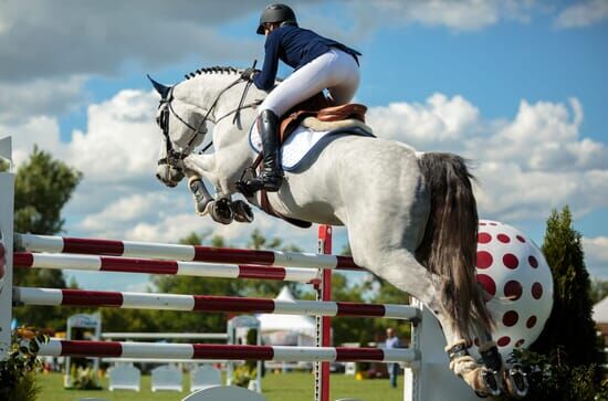 Pferdesport Springreiten Grand Prix Sportland Niederösterreich, Highlights aus Wr.Neustadt