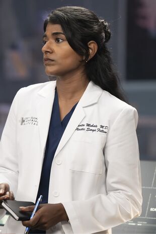 Anatomia lui Grey Sezonul 22 Episodul 12