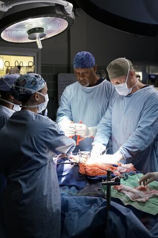 Anatomia lui Grey Sezonul 13 Episodul 8