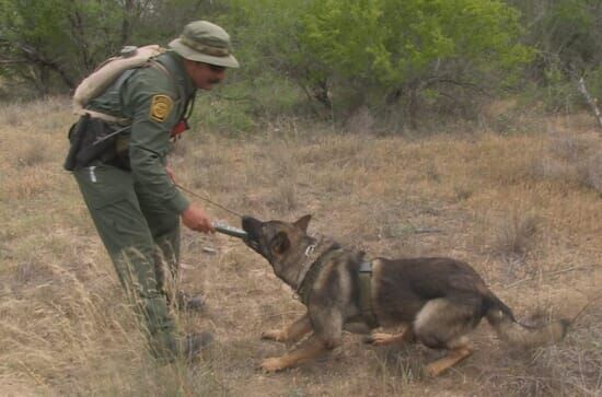 Border Wars: Amerikas heiße Grenze