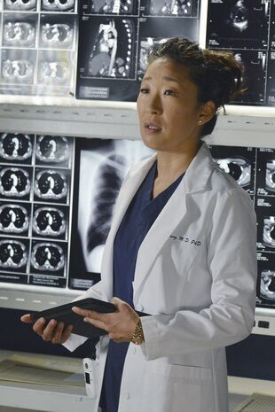 Anatomia lui Grey Sezonul 10 Episodul 3