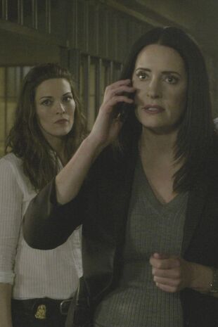 Minţi criminale Sezonul 12 Episodul 13