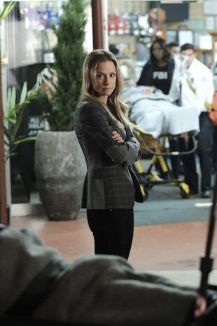 Minţi criminale Sezonul 14 Episodul 12