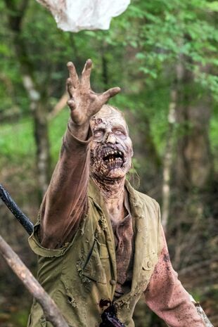 The Walking Dead: Invazia zombi Sezonul 8 Episodul 6