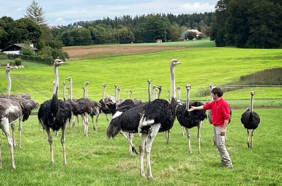 Helden der Landwirtschaft