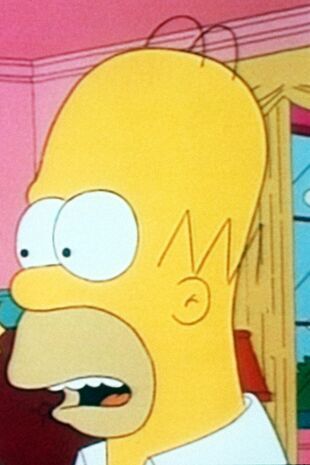 The Simpsons Seizoen 3 Aflevering 19