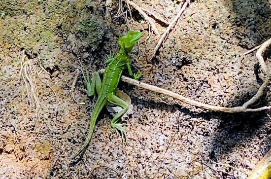 Nicaragua – Von Wasser...