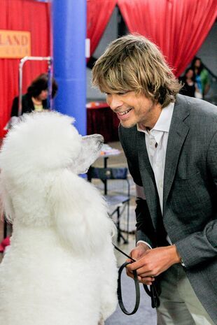 NCIS: Los Angeles Seizoen 4 Aflevering 5