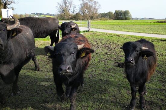 Helden der Landwirtschaft