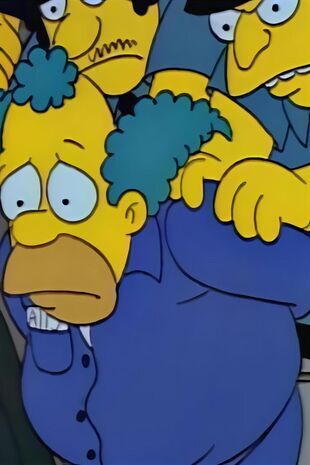 The Simpsons Seizoen 1 Aflevering 12