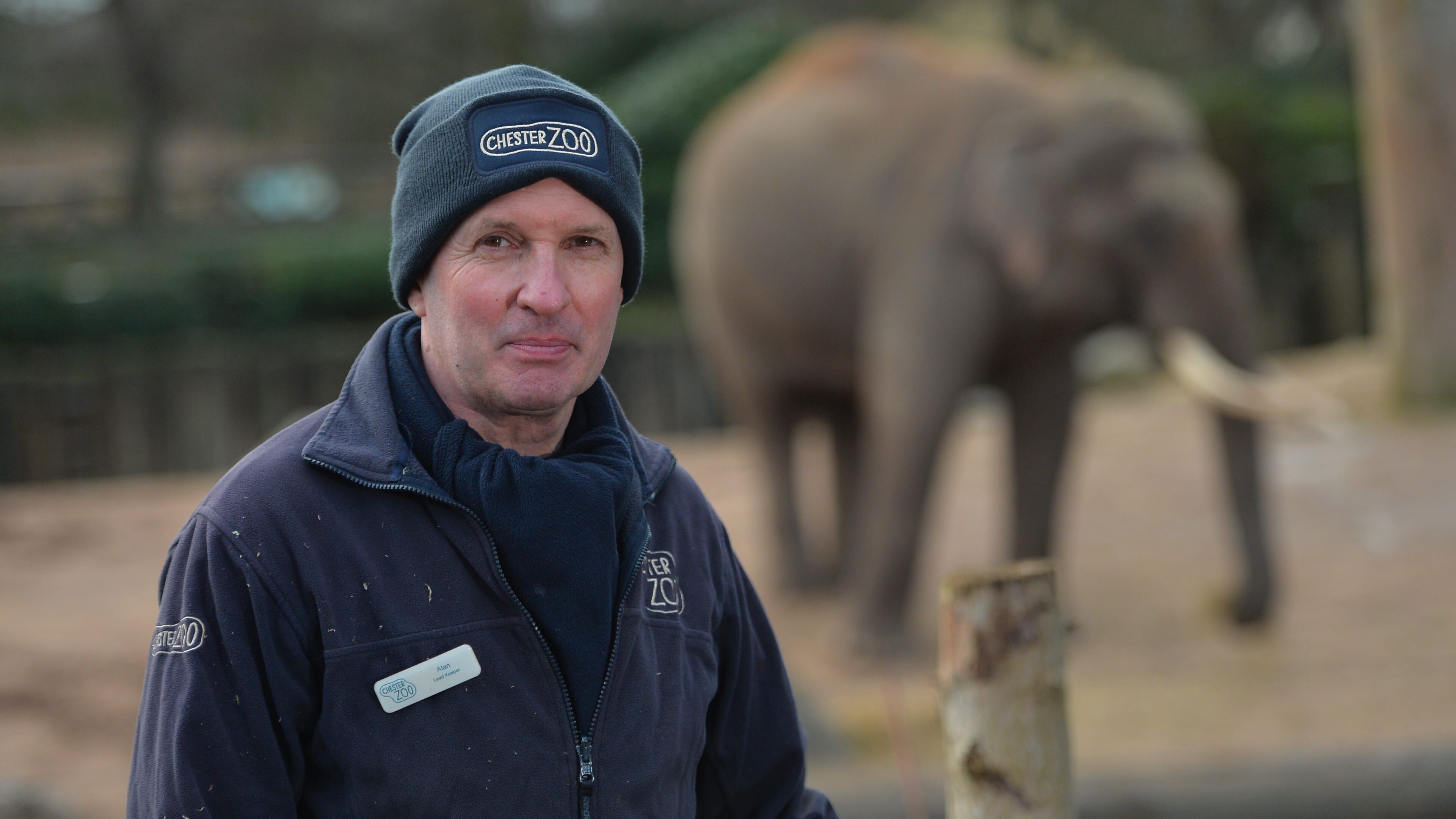 Zoo und so – Tierisch wild!