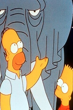 The Simpsons Seizoen 5 Aflevering 17