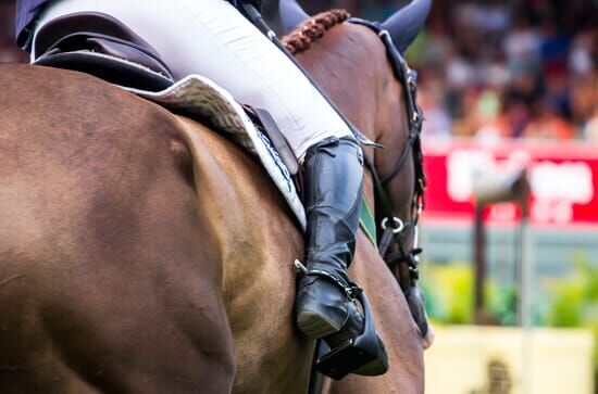 Pferdesport Springreiten Grand Prix Sportland Niederösterreich, Highlights aus Wr.Neustadt