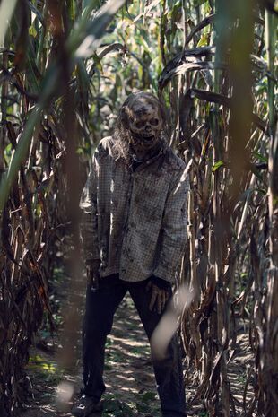 The Walking Dead: Invazia zombi Sezonul 9 Episodul 11