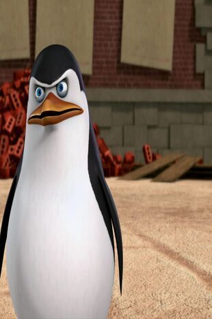 Pinguinii din Madagascar Sezonul 2 Episodul 13