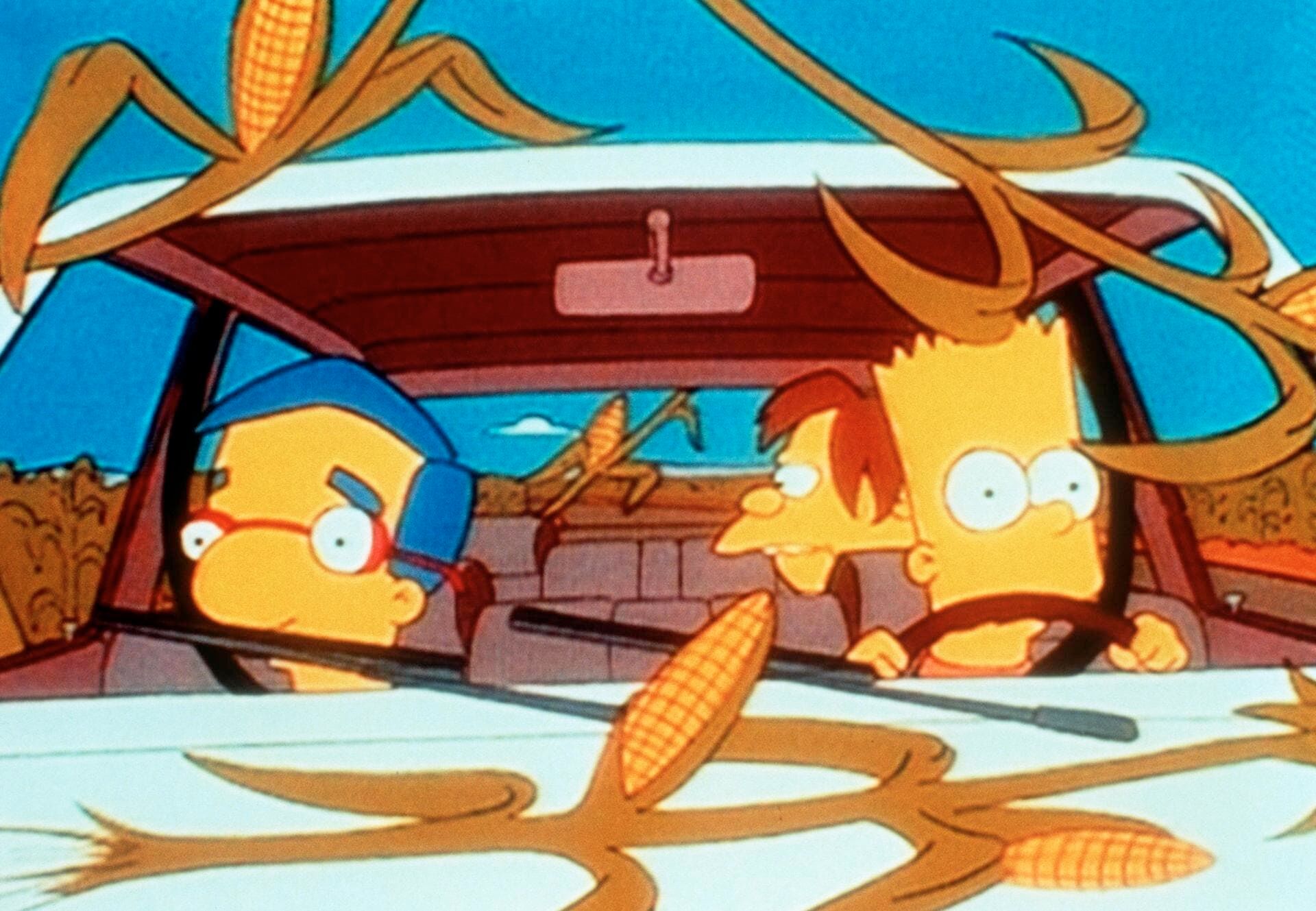 The Simpsons Seizoen 7 Aflevering 20
