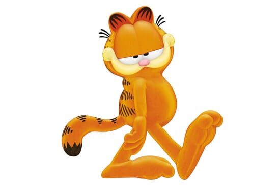 Garfield Show