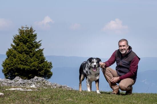 Chroniques d'en haut