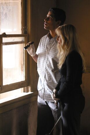 Les experts : Miami Saison 2 Épisode 19