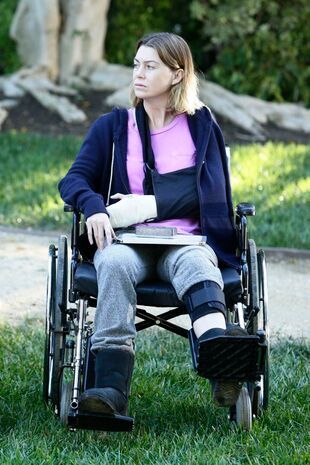 Anatomia lui Grey Sezonul 12 Episodul 9