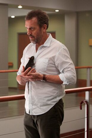 Dr House Saison 8 Épisode 15