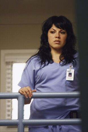 Anatomia lui Grey Sezonul 3 Episodul 24