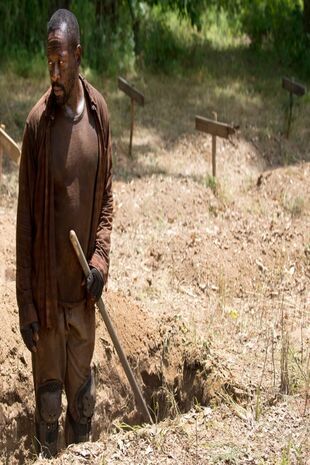 The Walking Dead: Invazia zombi - Nu aici