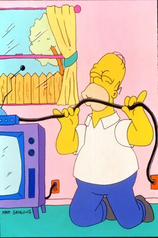 The Simpsons Seizoen 2 Aflevering 13