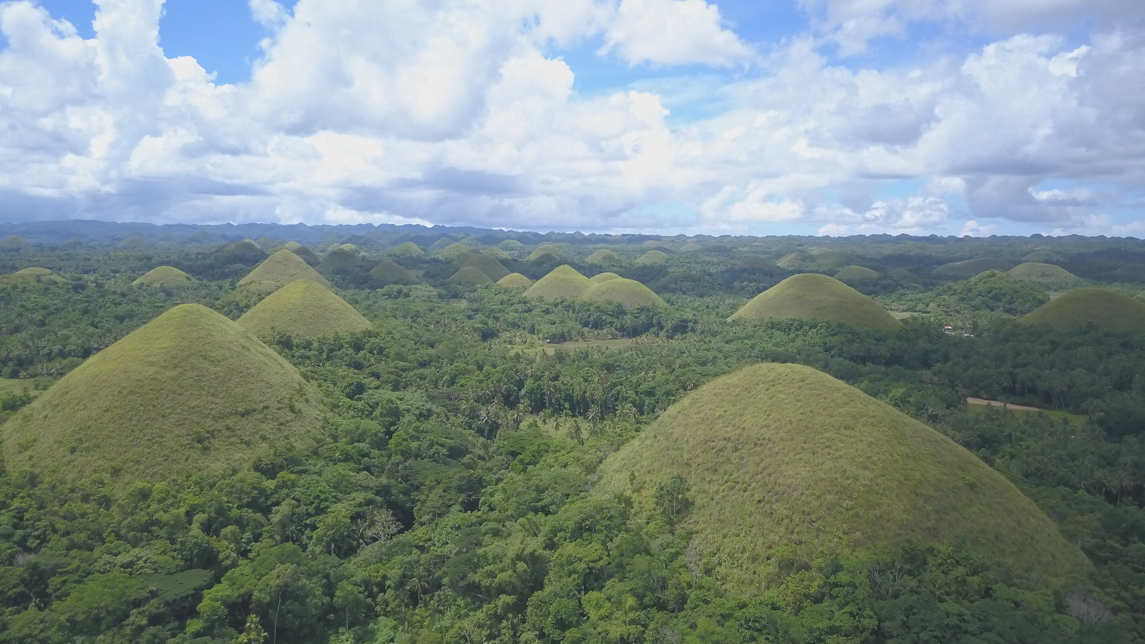 Wilde Philippinen
