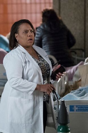 Anatomia lui Grey Sezonul 13 Episodul 24