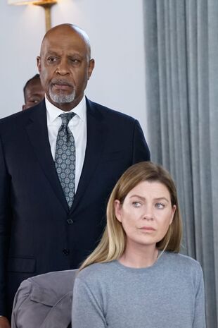Anatomia lui Grey Sezonul 16 Episodul 8