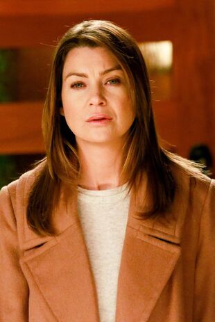 Anatomia lui Grey Sezonul 11 Episodul 23