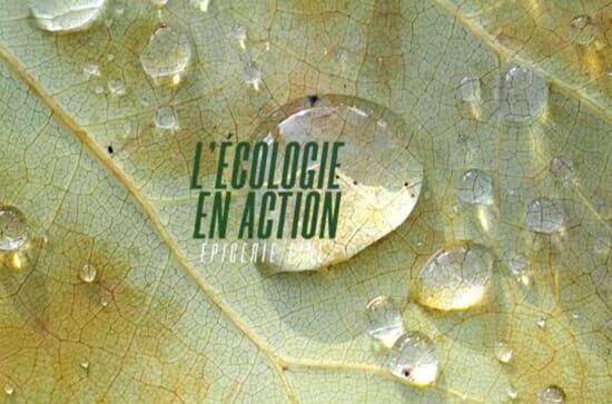 L'écologie en action