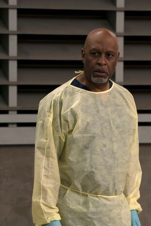 Anatomia lui Grey Sezonul 14 Episodul 7