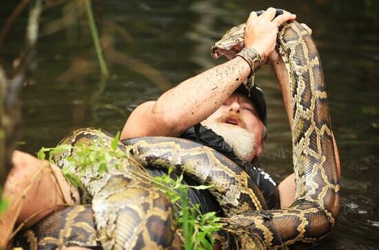 Die Pythonjäger – Einsatz in den Everglades