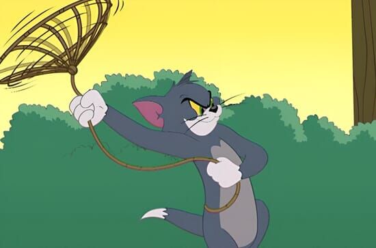 Die Tom und Jerry Show