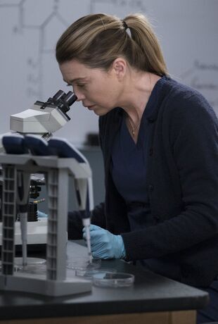 Anatomia lui Grey Sezonul 15 Episodul 16