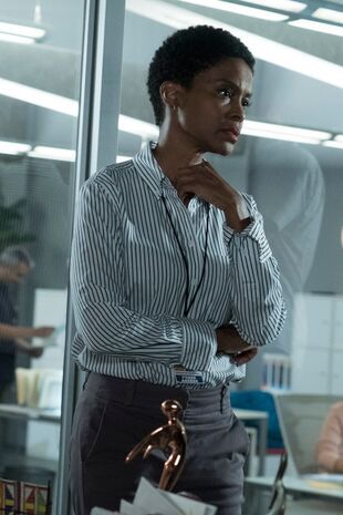 Minţi criminale Sezonul 13 Episodul 8