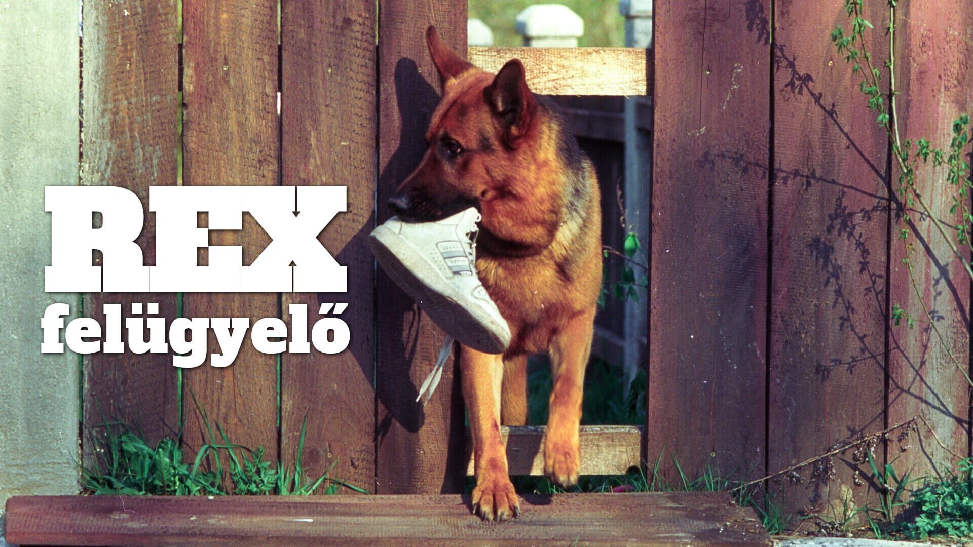 Rex felügyelő Évad 10 rész 5