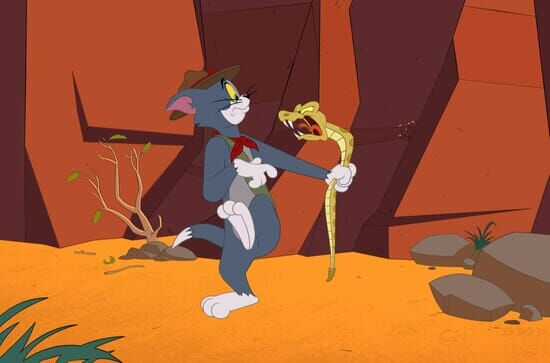 Die Tom und Jerry Show