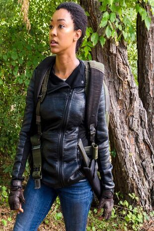 The Walking Dead: Invazia zombi - Partea cealaltă