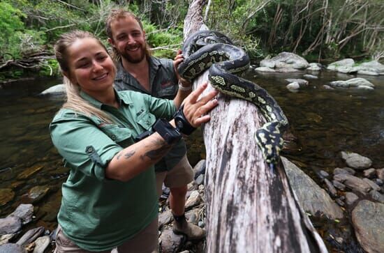 Snake Security – Schlangenalarm in Australien