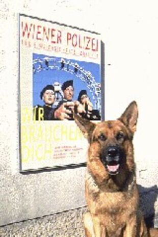 Rex felügyelő Évad 2 rész 1