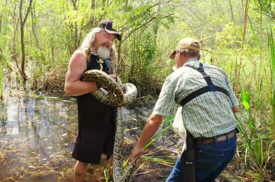 Die Pythonjäger – Einsatz in den Everglades