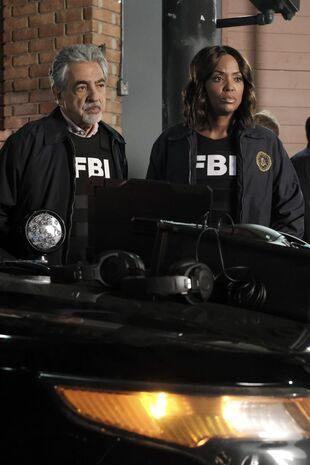 Minţi criminale Sezonul 14 Episodul 4