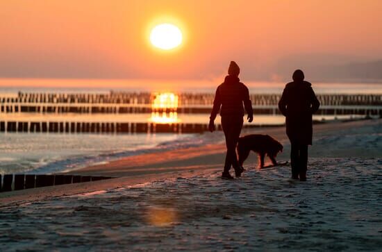 Der Usedom-Krimi