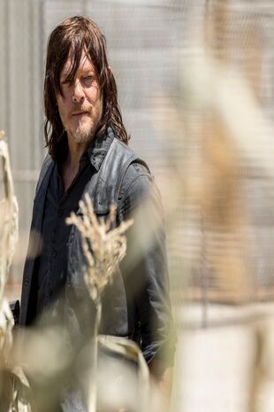 The Walking Dead: Invazia zombi Sezonul 11 Episodul 9