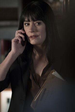 Minţi criminale Sezonul 13 Episodul 14