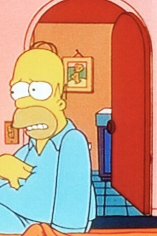 The Simpsons Seizoen 5 Aflevering 22