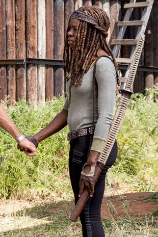 The Walking Dead: Invazia zombi Sezonul 8 Episodul 12